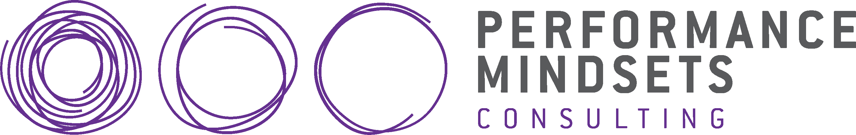 Performance Mindsets Consulting