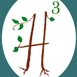 Halech Holistic Health