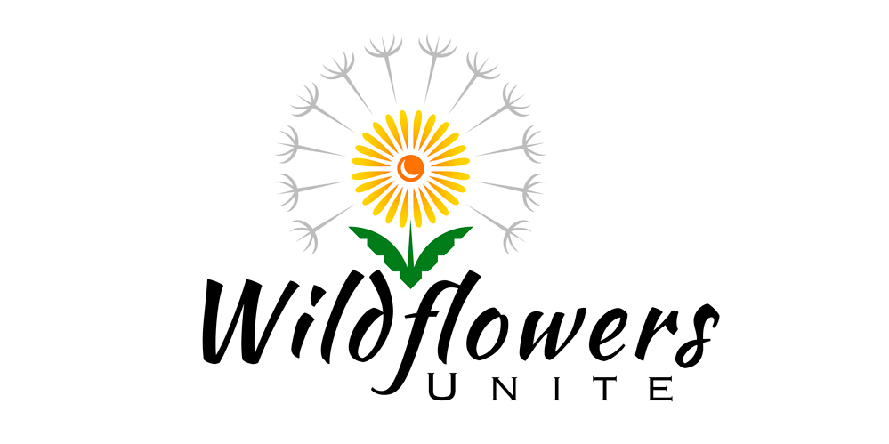 Wildflowers Unite Living Systems Therapy
